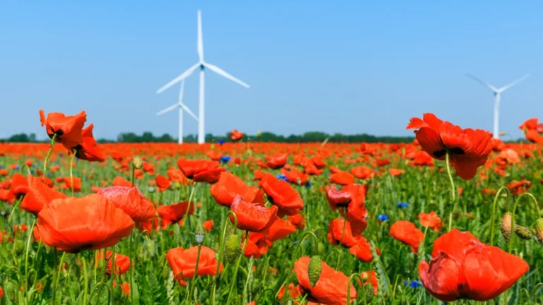 gyre ambiciózusabbak a megújuló energiával kapcsolatos célok Európában